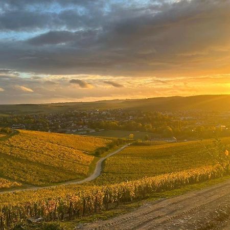 Maison De Campagne Entre Vigne Et Bois ชาบลี ภายนอก รูปภาพ