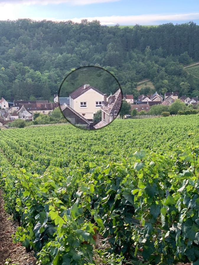 Maison De Campagne Entre Vigne Et Bois ชาบลี ภายนอก รูปภาพ