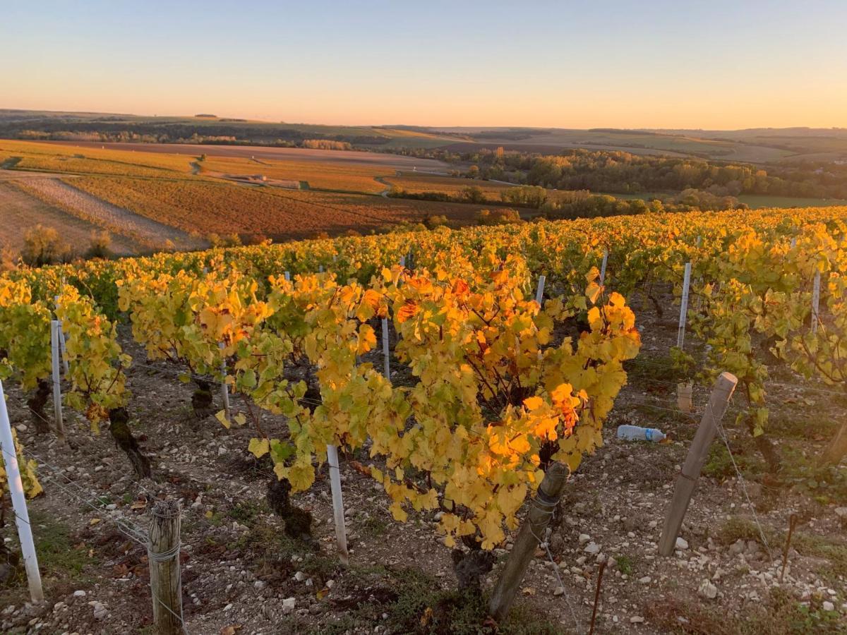 Maison De Campagne Entre Vigne Et Bois ชาบลี ภายนอก รูปภาพ