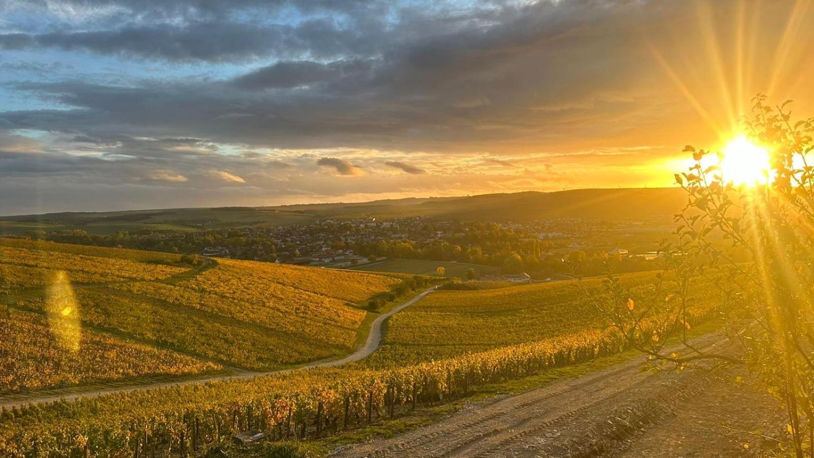 Maison De Campagne Entre Vigne Et Bois ชาบลี ภายนอก รูปภาพ